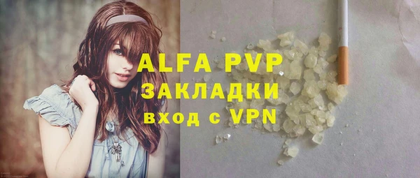 индика Нязепетровск