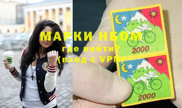 индика Нязепетровск