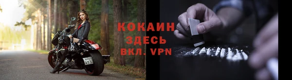 индика Нязепетровск