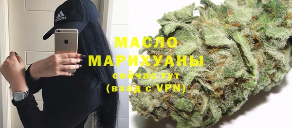 мдпв Няндома