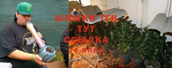 мдпв Няндома