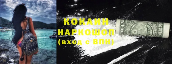 индика Нязепетровск