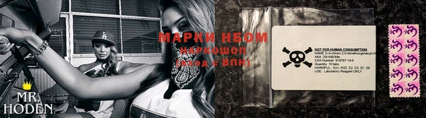 индика Нязепетровск