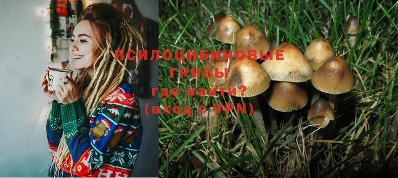 Галлюциногенные грибы MAGIC MUSHROOMS  гидра ТОР  Тырныауз 